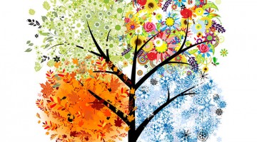 365 Creative Writing Prompts