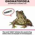 onomatopoeia word examples