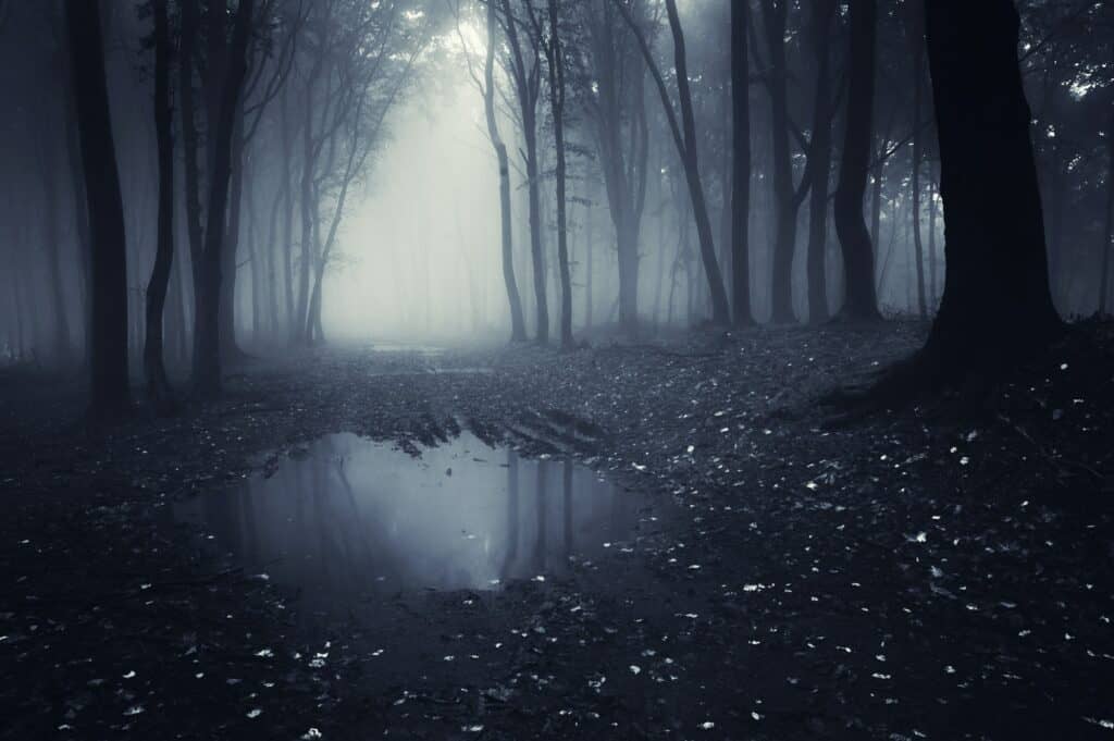 Dark haunted lake in forest