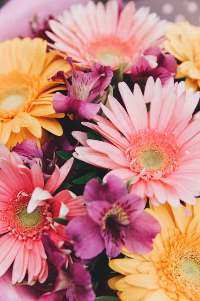 Multicolored Gerbera bouquet. Great decision for design